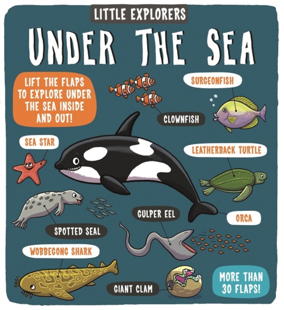 Little Explorers: Under the Sea, Board book Book
