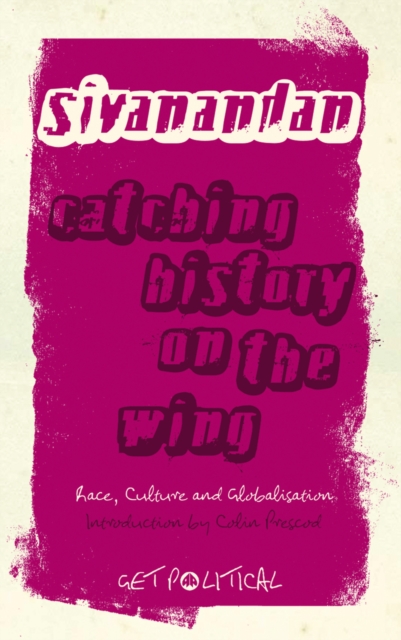 Catching History on the Wing : Race, Culture and Globalisation, EPUB eBook