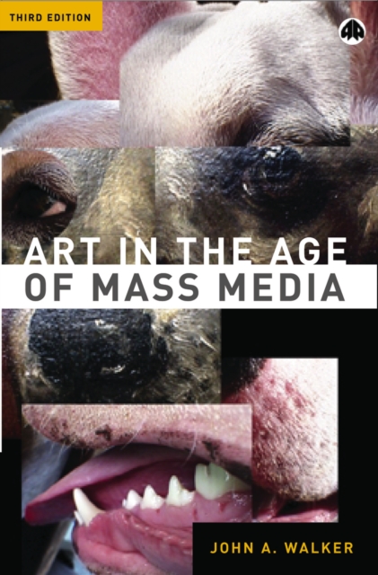 Art in the Age of Mass Media, PDF eBook
