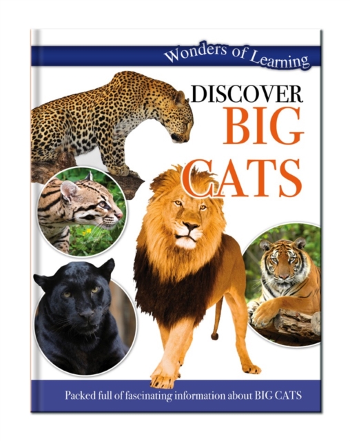 Discover Big Cats, Hardback Book