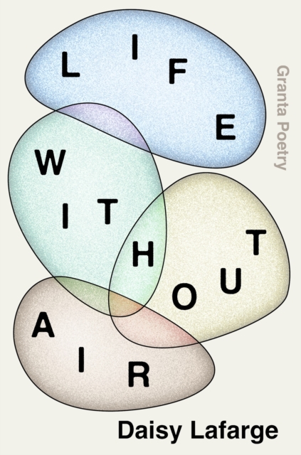 Life Without Air, EPUB eBook