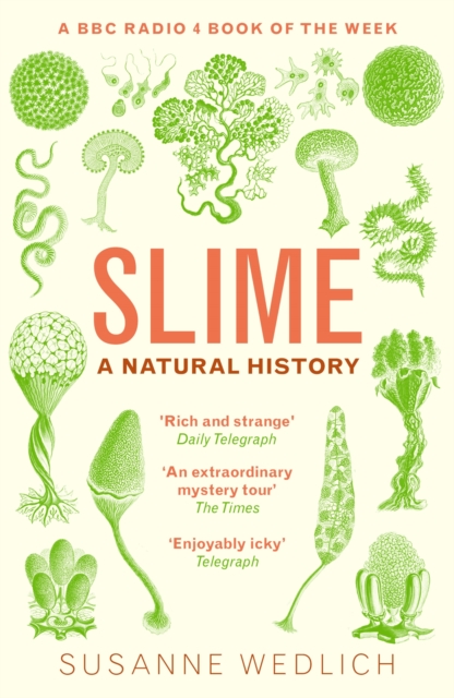 Slime : A Natural History, EPUB eBook