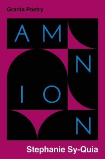 Amnion, Paperback / softback Book