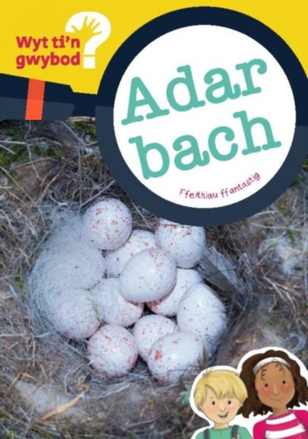 Cyfres Wyt Ti'n Gwybod?: Adar Bach, Paperback / softback Book