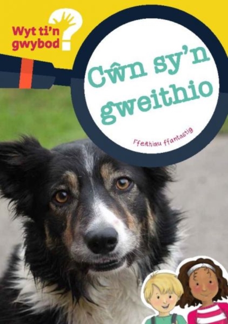 Cyfres Wyt Ti'n Gwybod?: Cwn Sy'n Gweithio, Paperback / softback Book