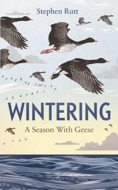 Wintering : A Season with Geese, Hardback Book