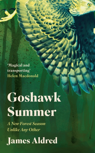 Goshawk Summer : A New Forest Season Unlike Any Other, Hardback Book