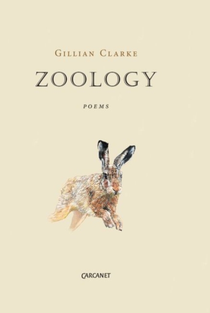 Zoology, Paperback / softback Book