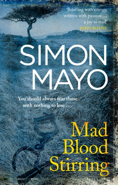 Mad Blood Stirring, Paperback / softback Book