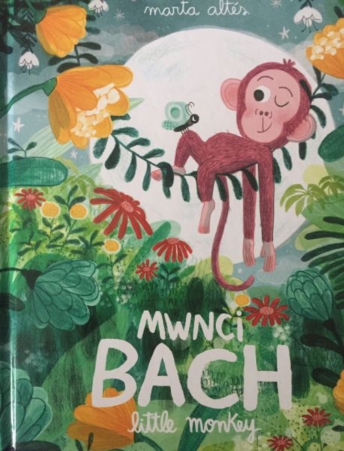 Mwnci Bach / Little Monkey, Hardback Book