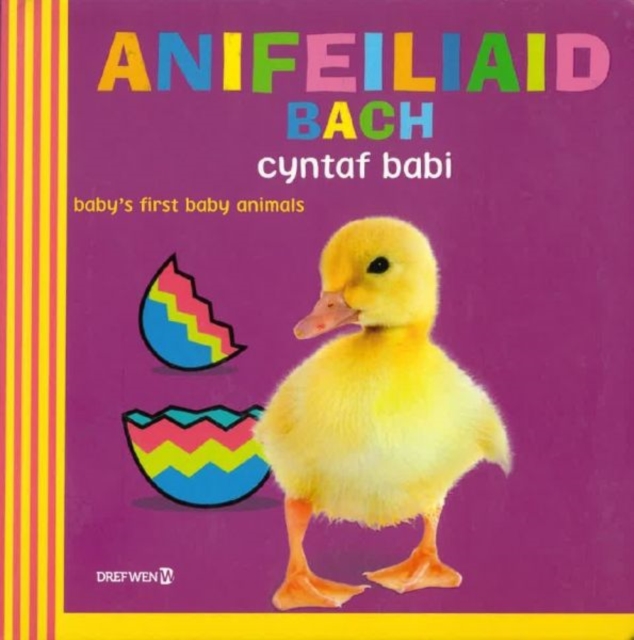 Anifeiliaid Bach Cyntaf Babi / Baby's First Baby Animals, Hardback Book