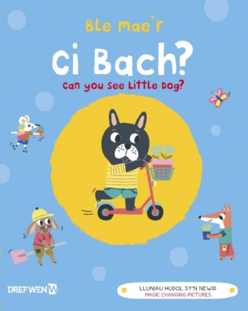 Ble Mae'r Ci Bach? / Can You See the Little Dog? : Can You See Little Dog?, Hardback Book