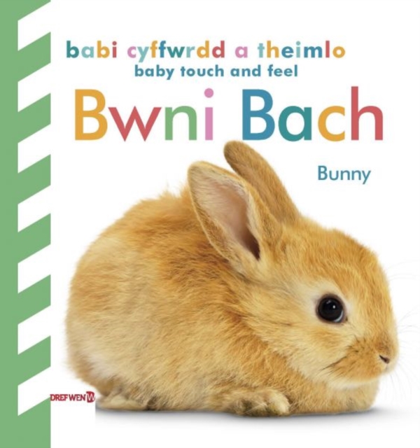 Babi Cyffwrdd a Theimlo: Bwni Bach / Baby Touch and Feel: Bunny : Bunny, Hardback Book