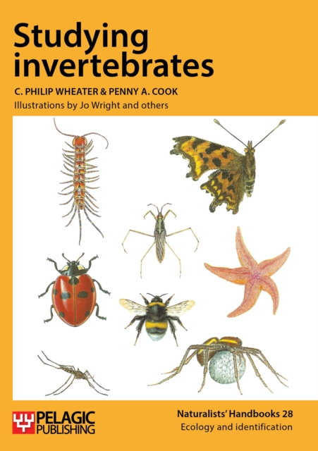Studying Invertebrates, Paperback / softback Book