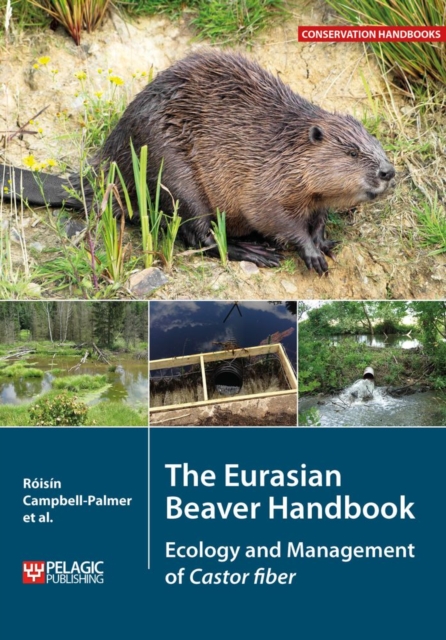 The Eurasian Beaver Handbook : Ecology and Management of Castor fiber, Paperback / softback Book