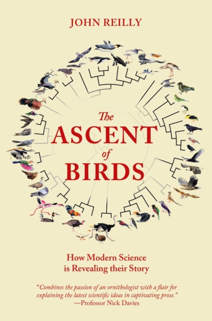 The Ascent of Birds : How Modern Science is Revealing their Story, Hardback Book