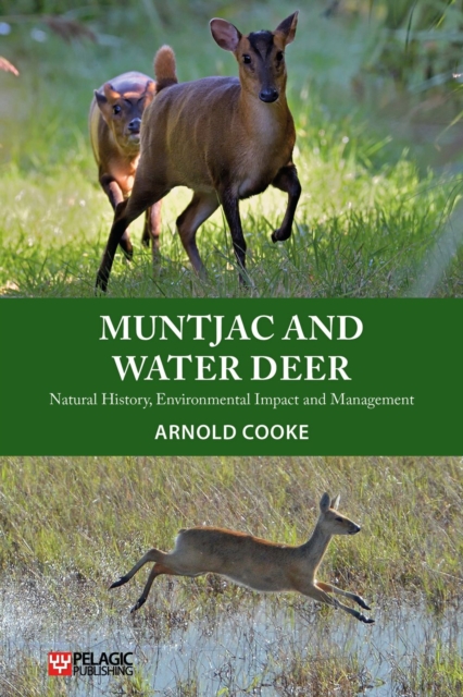 Muntjac and Water Deer : Natural History, Environmental Impact and Management, PDF eBook