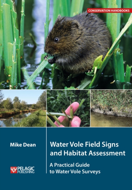 Water Vole Field Signs and Habitat Assessment : A Practical Guide to Water Vole Surveys, Paperback / softback Book