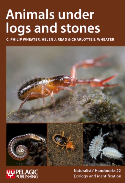 Animals under logs and stones, PDF eBook