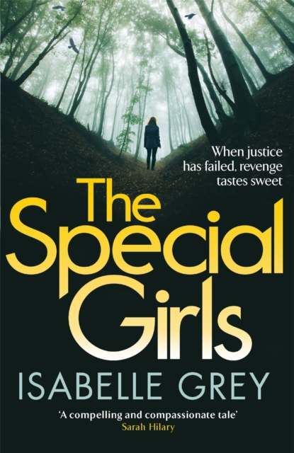 The Special Girls : an addictive and heart-stopping crime thriller with a shocking twist, Paperback / softback Book