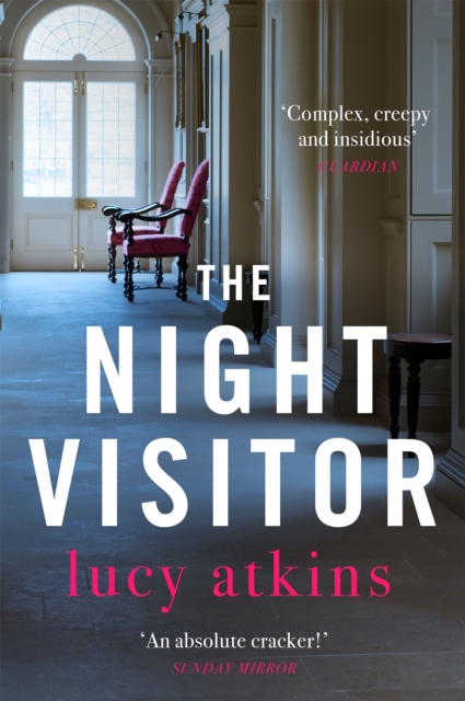 The Night Visitor : the gripping thriller from the author of Magpie Lane, Paperback / softback Book