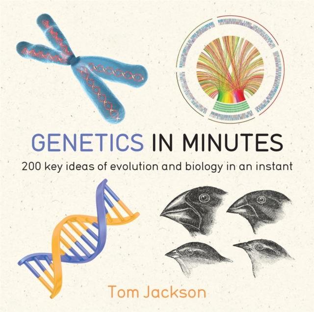 Genetics in Minutes, Paperback / softback Book