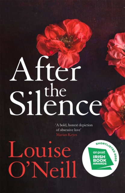 After the Silence : The An Post Irish Crime Novel of the Year, Hardback Book
