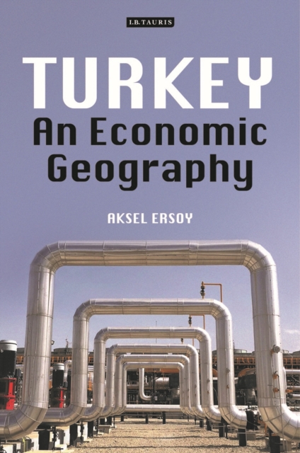 Turkey : An Economic Geography, Hardback Book