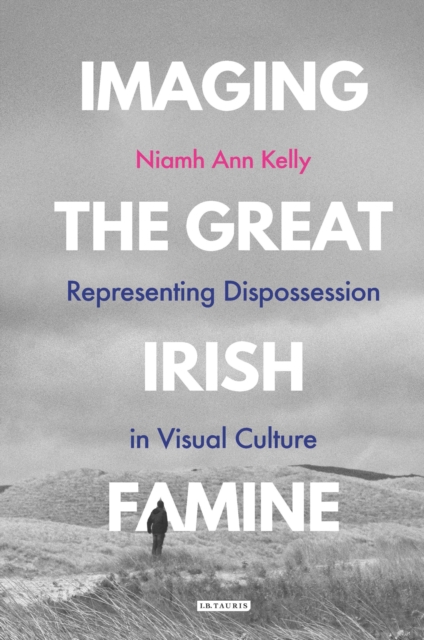 Imaging the Great Irish Famine : Representing Dispossession in Visual Culture, Hardback Book