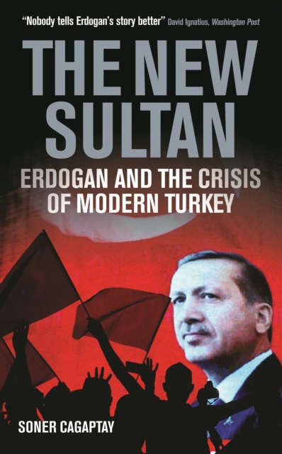 The New Sultan : Erdogan and the Crisis of Modern Turkey, Hardback Book
