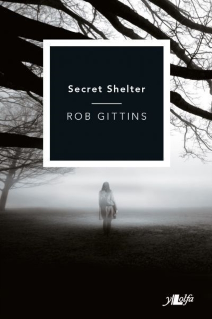 Secret Shelter, Paperback / softback Book