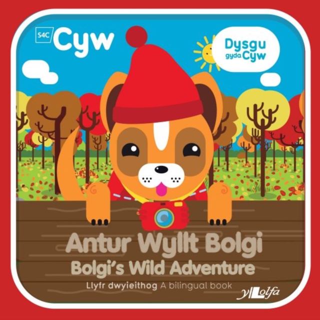 Dysgu gyda Cyw: Antur Wyllt Bolgi / Bolgi's Wild Adventure, Paperback / softback Book