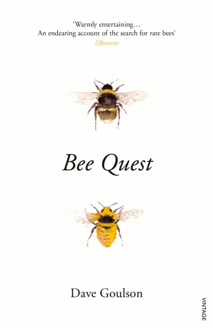 Bee Quest, Paperback / softback Book