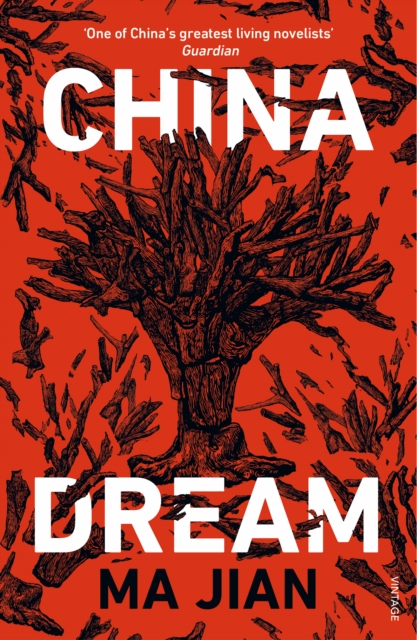 China Dream, Paperback / softback Book