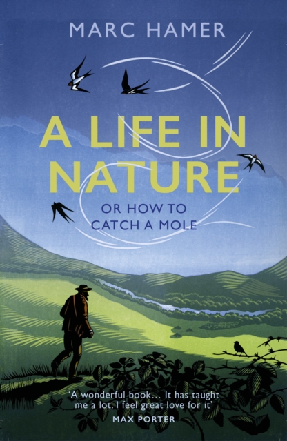 A Life in Nature : Or How to Catch a Mole, Paperback / softback Book