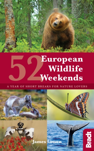 52 European Wildlife Weekends : A year of short breaks for nature lovers, Paperback / softback Book