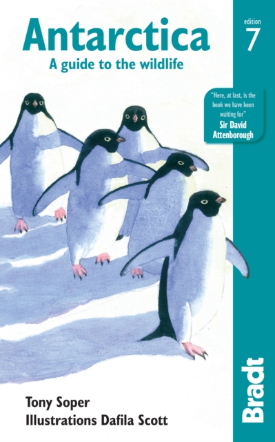 Antarctica : A Guide to the Wildlife, EPUB eBook
