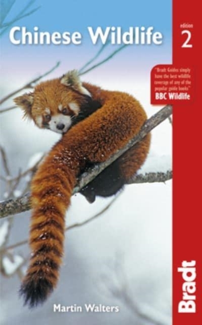 Chinese Wildlife, Paperback / softback Book