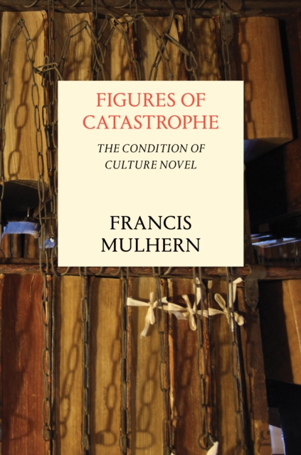 Figures of Catastrophe : The Condition of Culture Novel, EPUB eBook