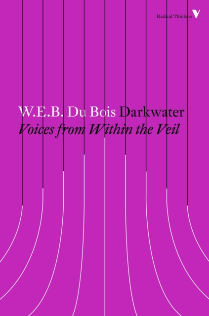Darkwater : Voices from Within the Veil, Paperback / softback Book