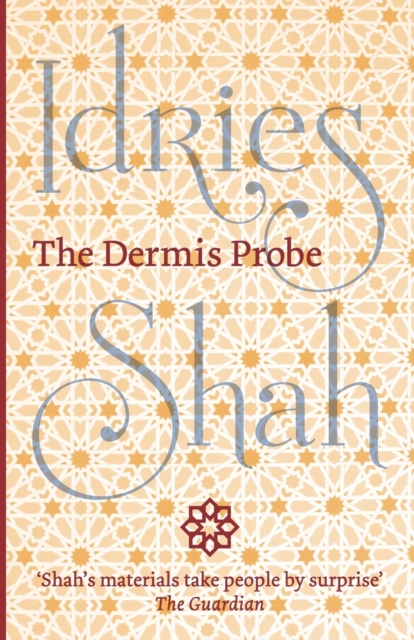 The Dermis Probe, Paperback / softback Book