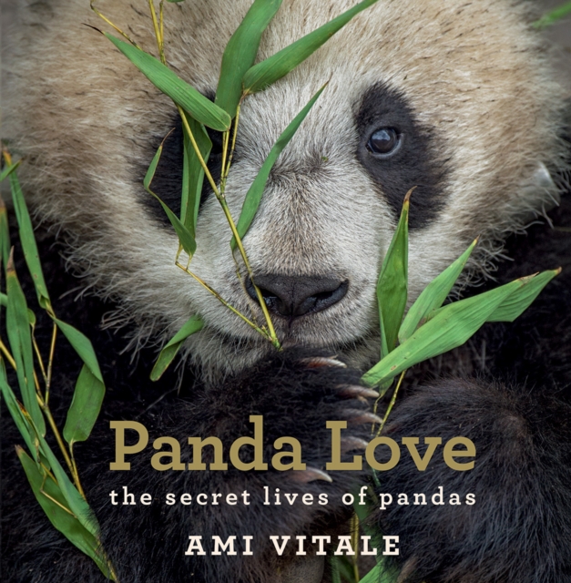 Panda Love : The Secret Lives of Pandas, Hardback Book