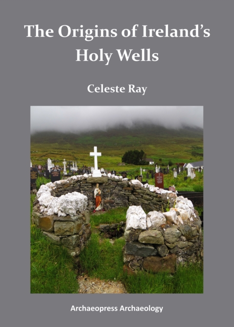 The Origins of Ireland's Holy Wells, Paperback / softback Book