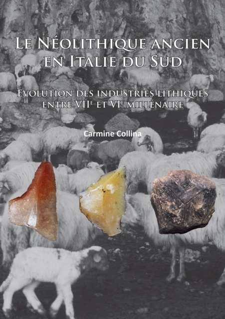 Le Neolithique ancien en Italie du sud : Evolution des industries lithiques entre VIIe et VIe millenaire, Paperback / softback Book