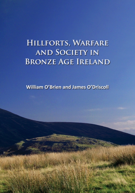 Hillforts, Warfare and Society in Bronze Age Ireland, PDF eBook