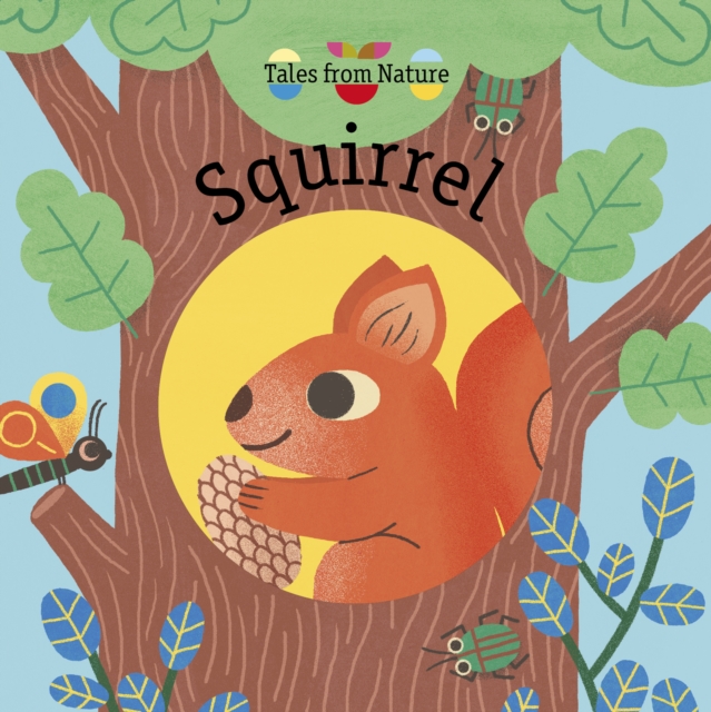 Squirrel, Board book Book