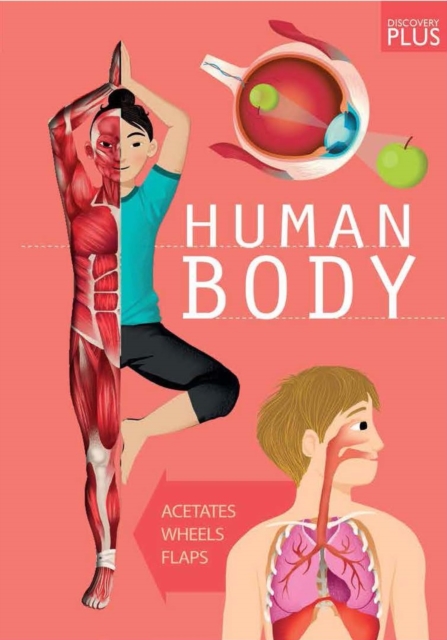 Discovery Plus: Human Body, Hardback Book