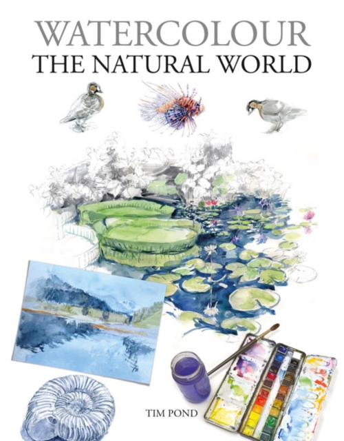 Watercolour The Natural World, Paperback / softback Book