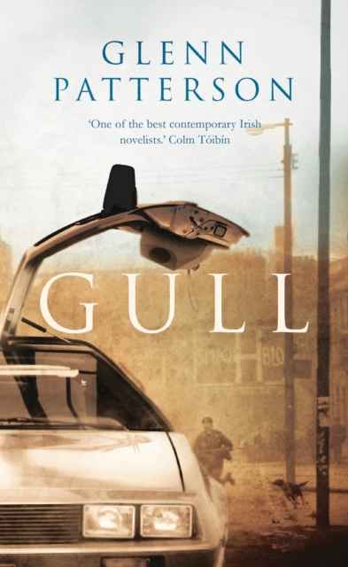 Gull, Hardback Book
