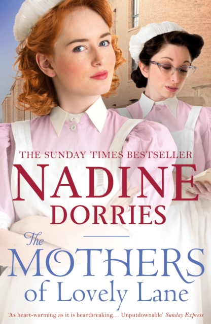 The Mothers of Lovely Lane, EPUB eBook